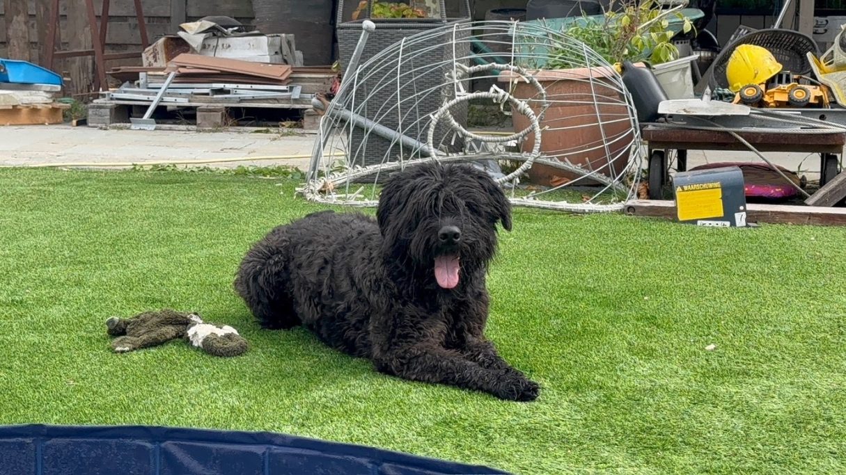 Jake "Placidus Evelyn van Caya's Home