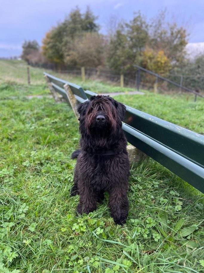 Fien "Quick Kallista van Caya's Home